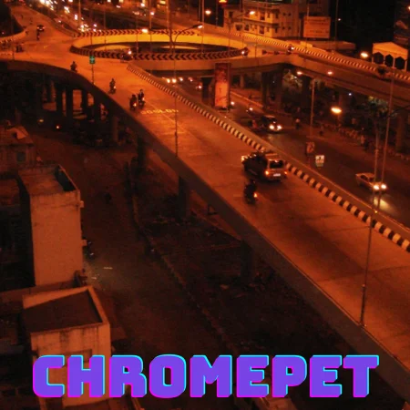 Chromepet Escorts