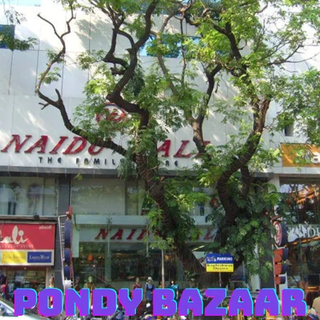 Pondy Bazaar Escorts